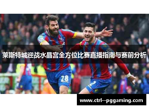 莱斯特城迎战水晶宫全方位比赛直播指南与赛前分析